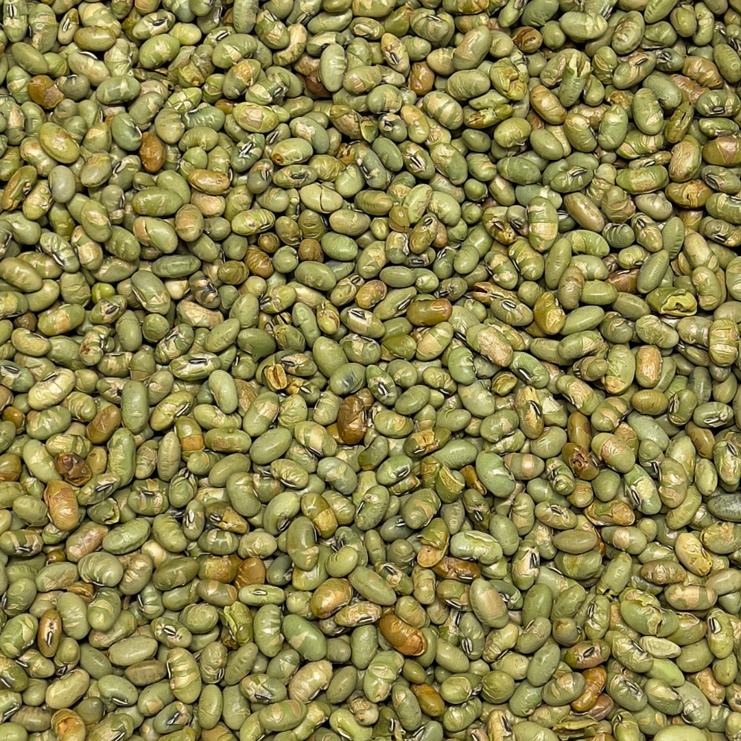 Edamame Dry Roasted & Unsalted