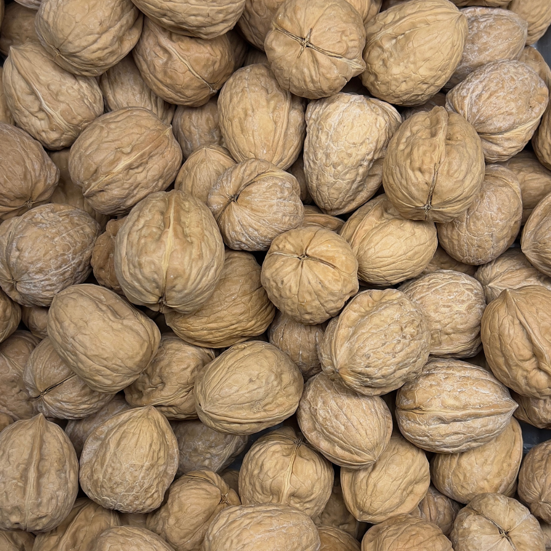 Walnuts (In Shell)
