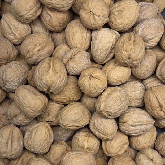 Walnuts (In Shell)
