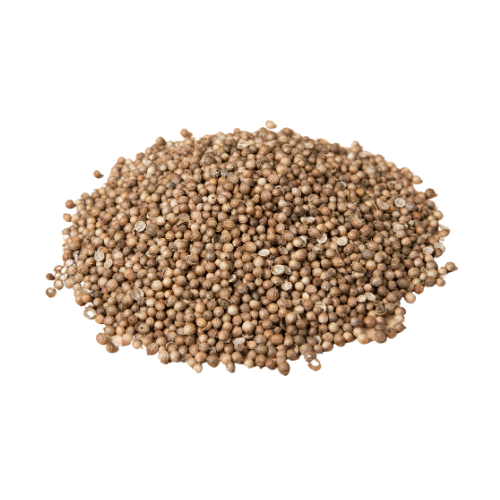 Whole Coriander