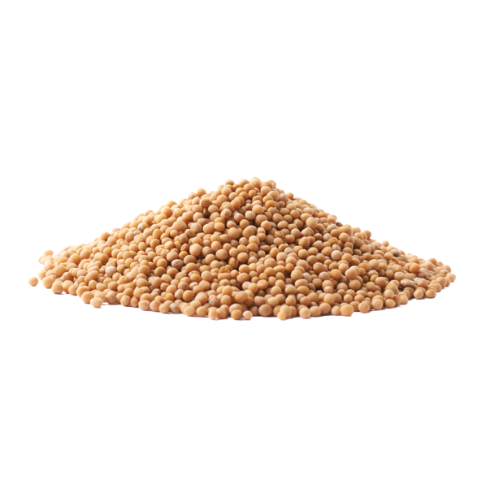 Whole Mustard Seeds