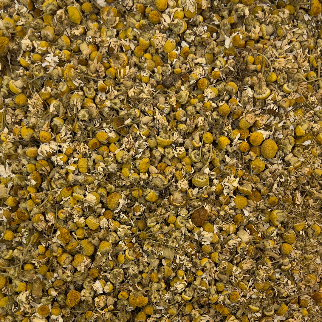 Organic Chamomile