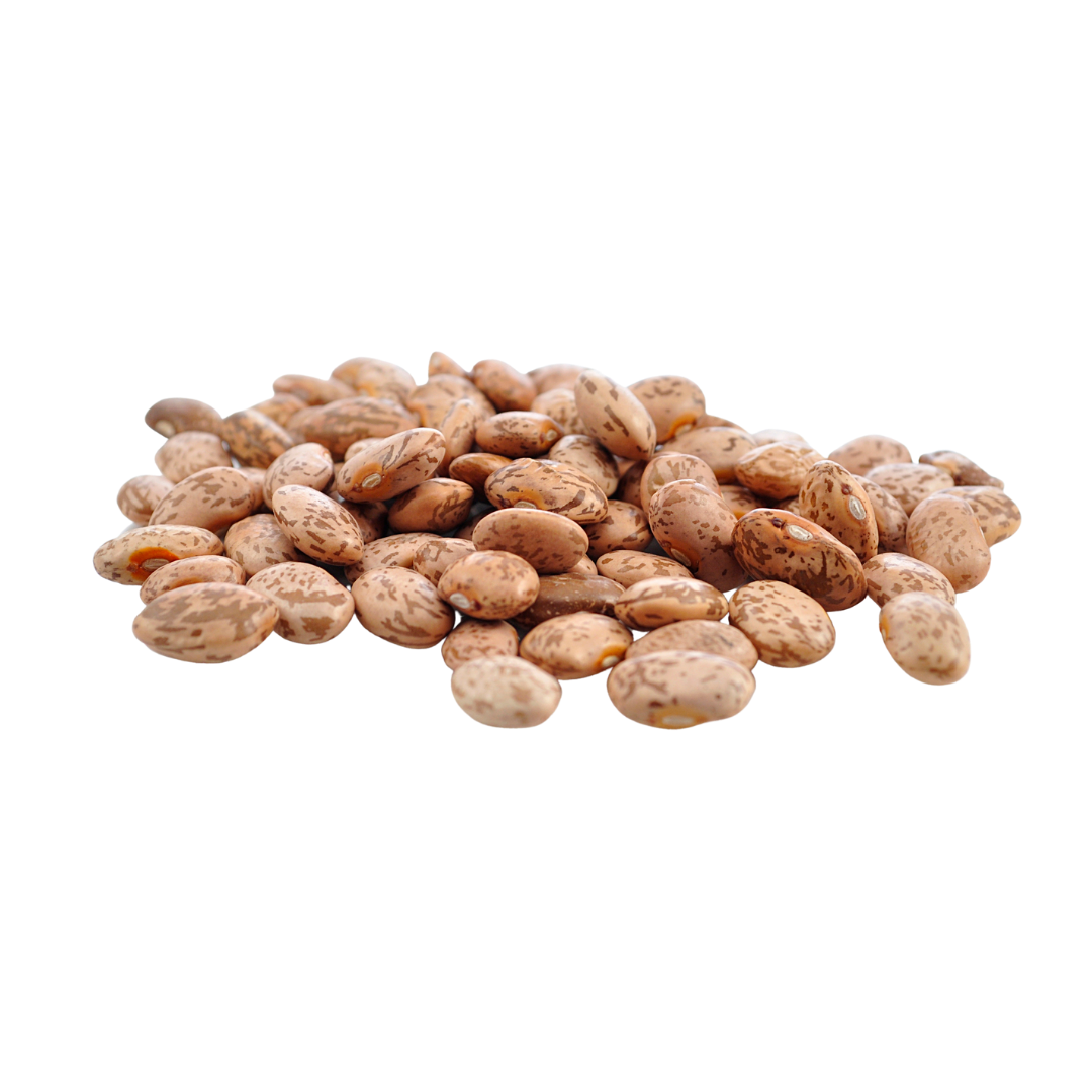 Pinto Beans