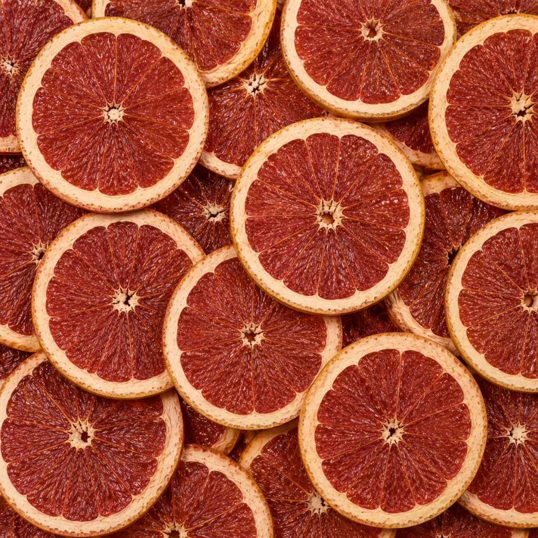 Dried Grapefruit Slices – Fruit and Nut Co.