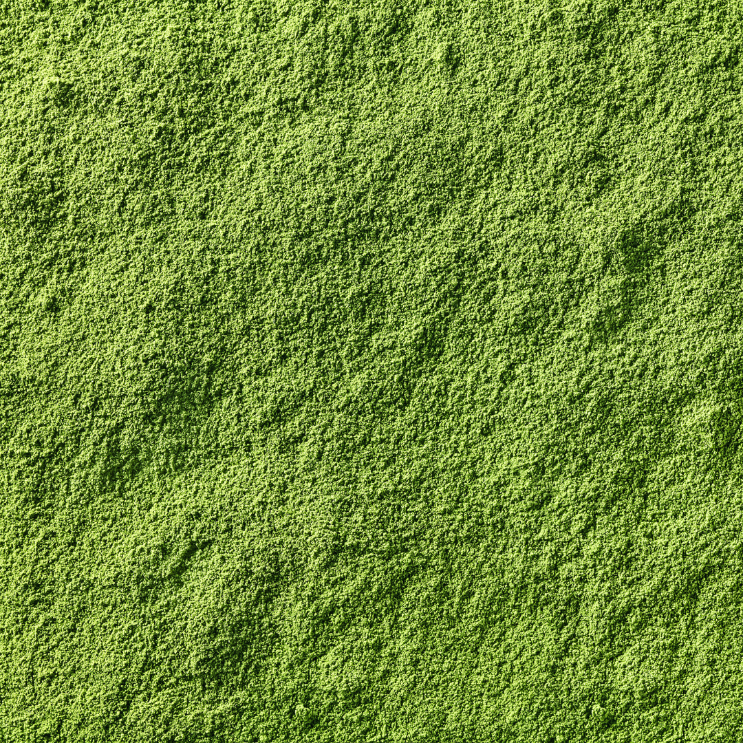 IZU Premium Matcha