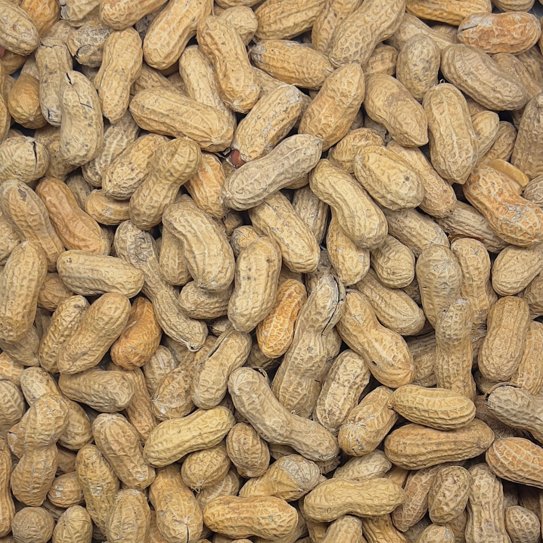 Roasted Peanuts (Unsalted)