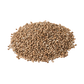 Whole Coriander